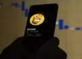 El sorprendente ascenso de las criptomonedas ligado al encantador Bonk, el perro de Solana