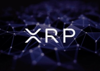 XRP: ¿La nueva revolución de las criptomonedas que desafía a Bitcoin? Su valor alcanza niveles históricos.