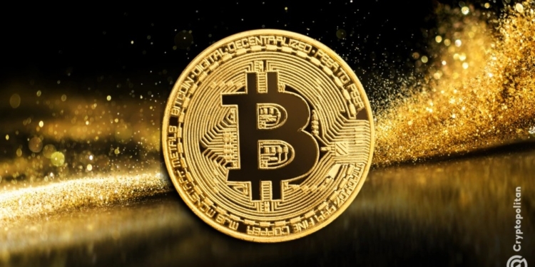 ¿Quiénes son realmente los dueños de Bitcoin? Descubre el perfil de los criptinversores más destacados.