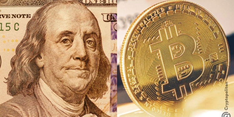 La sorprendente trampa del Bitcoin: ¿cómo la caída del dólar puede arruinar a los pequeños inversores?