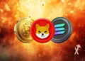 Descubre las Tendencias Ocultas en el Mercado de Criptomonedas: Solana, Bitcoin y Shiba Inu en el Punto de Mira