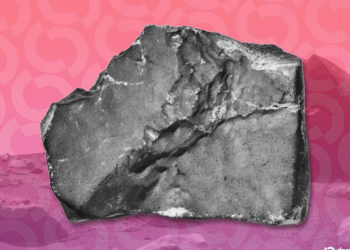 El asombroso meteorito marciano que podría alcanzarse por 4 millones de dólares en Bitcoin saldrá a subasta en Sotheby's