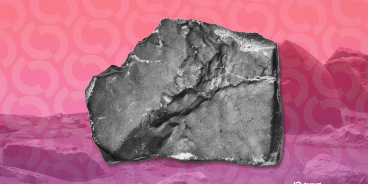 El asombroso meteorito marciano que podría alcanzarse por 4 millones de dólares en Bitcoin saldrá a subasta en Sotheby s