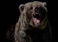 El desplome de las criptomonedas: ¿Qué sucede con BTC, ETH y DOGE?