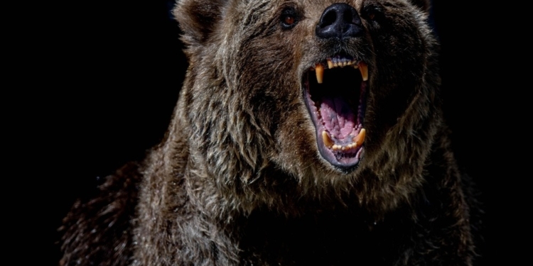 El desplome de las criptomonedas: ¿Qué sucede con BTC, ETH y DOGE?