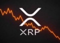 XRP bajo presión: ¿las ballenas preparan una venta masiva que hará temblar su precio?