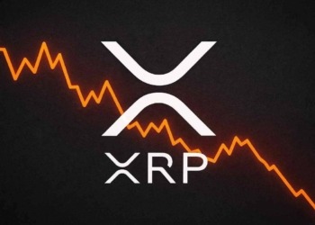 XRP bajo presión: ¿las ballenas preparan una venta masiva que hará temblar su precio?