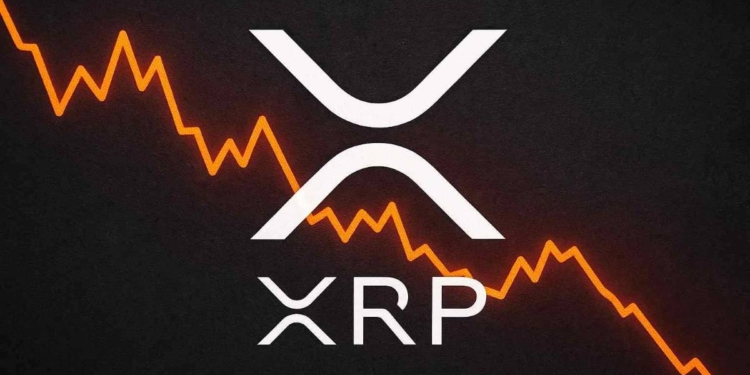 XRP bajo presión: ¿las ballenas preparan una venta masiva que hará temblar su precio? 1 XRP bajo presión: ¿las ballenas preparan una venta masiva que hará temblar su precio?