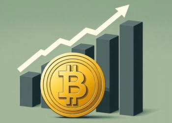 ¿Qué fortuna podrías haber acumulado si hubieras invertido en bitcoin en 2020?