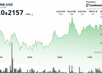 Memecoin BONK se dispara tras el respaldo del fondo de Solana