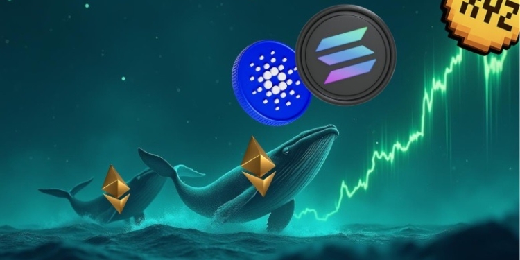 ¿Puede XYZVerse en preventa dispararse hasta los $10 desde $0.0054, mientras Solana y Cardano se rezagan?