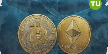 Bitcoin y Ethereum en la cuerda floja: el poder oculto de las ballenas del mercado de criptomonedas