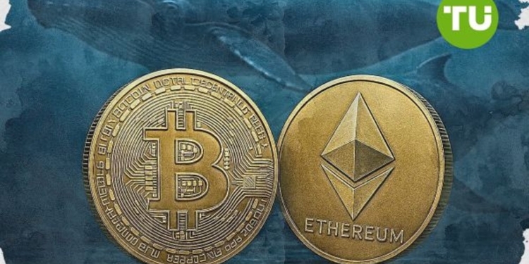 Bitcoin y Ethereum en la cuerda floja: el poder oculto de las ballenas del mercado de criptomonedas