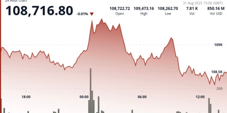 La demanda de Bitcoin podría desbordar la oferta en 2025: un analista anticipa un nuevo máximo tras el Halving. 1 La demanda de Bitcoin podría desbordar la oferta en 2025: un analista anticipa un nuevo máximo tras el Halving.
