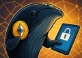 Una ballena enigmática adquiere $285 millones en Ethereum y lo mantiene bajo llave