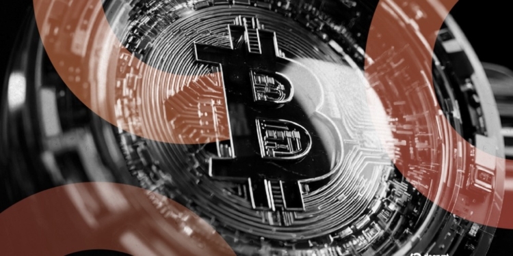 Un comprador de GameStop convierte un modesto paquete de cartas de $13 en una ganancia de $115,000 en Bitcoin