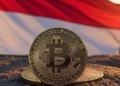 Indonesia valora la creación de una reserva estratégica de bitcoin: ¿una jugada maestra en el mundo cripto?