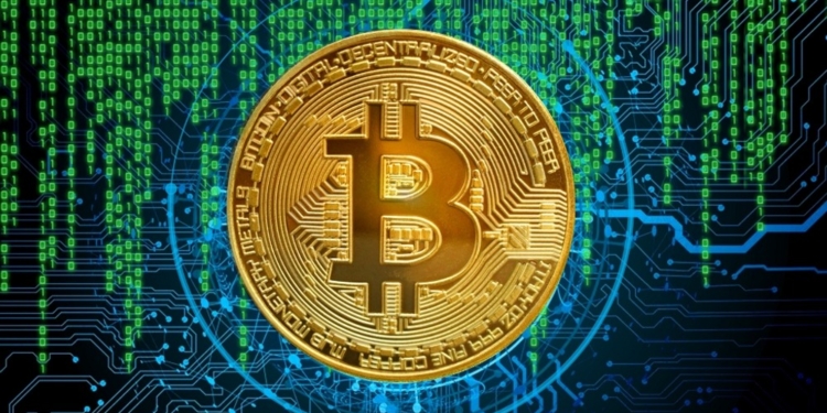 Inversores institucionales y asesores de riqueza anticipan un incremento en las reservas de bitcoin de las empresas del S P 500