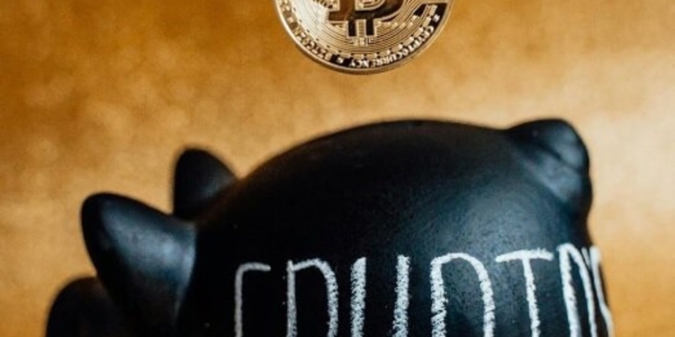 Criptomonedas: ¿La Oportunidad de Inversión que Esperaban los Puertollanenses? 1 Criptomonedas: ¿La Oportunidad de Inversión que Esperaban los Puertollanenses?