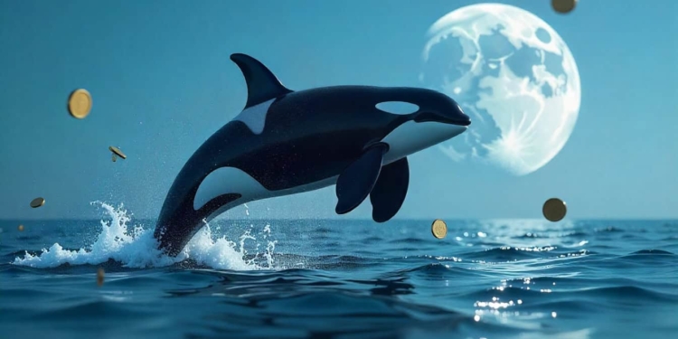 Orca presenta Wavebreak: El revolucionario launchpad anti-bots que impulsa su crecimiento en Solana un 20%