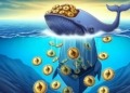 Las ballenas del criptoacero se posan sobre Bitcoin y Ethereum: ¿vienen tiempos de grandes alzas?