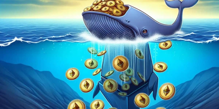 Las ballenas se lanzan a la compra de Bitcoin y Ethereum: ¿vienen tiempos de cambios en el mercado? 1 Las ballenas se lanzan a la compra de Bitcoin y Ethereum: ¿vienen tiempos de cambios en el mercado?