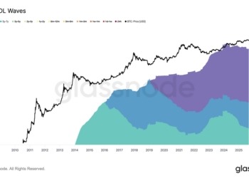 La Vieja Guardia de BTC Aumenta Su Poder a Pesar de la Venta de Ballenas