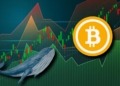 Una Ballena de Bitcoin de $50 Millones Rompe 13 Años de Silencio y Mueve Fondos Sorprendentes