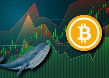 Una Ballena de Bitcoin de $50 Millones Rompe 13 Años de Silencio y Mueve Fondos Sorprendentes