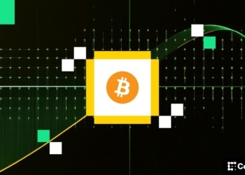 Las grandes empresas frenan la compra de Bitcoin en agosto mientras los bonos del Tesoro atraen $5 mil millones