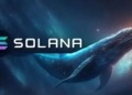 Las ballenas de Solana mueven 836 millones mientras los operadores prevén un sorprendente repunte a 260 dólares