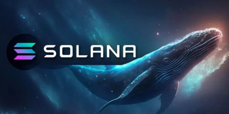 Las ballenas de Solana mueven 836 millones mientras los operadores prevén un sorprendente repunte a 260 dólares