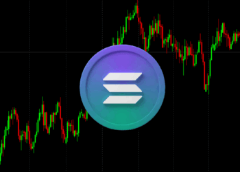 Inversores Retiran $812 Millones de Fondos Cripto: ¿Puede Solana Mantenerse como el Gran Beneficiado?