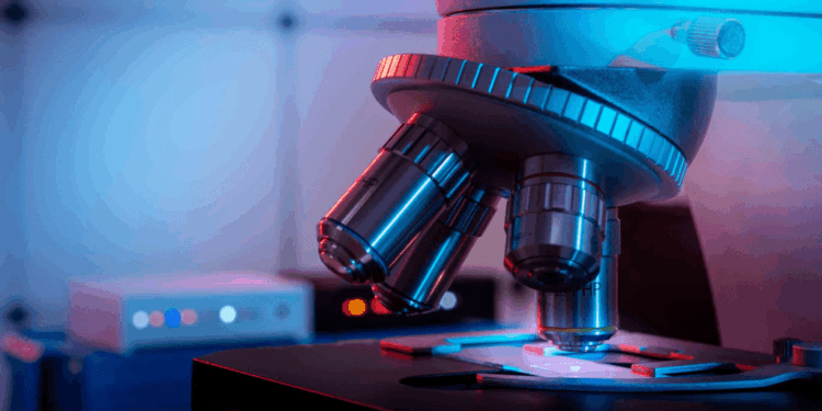 Científicos crean diminutos engranajes que funcionan con luz.