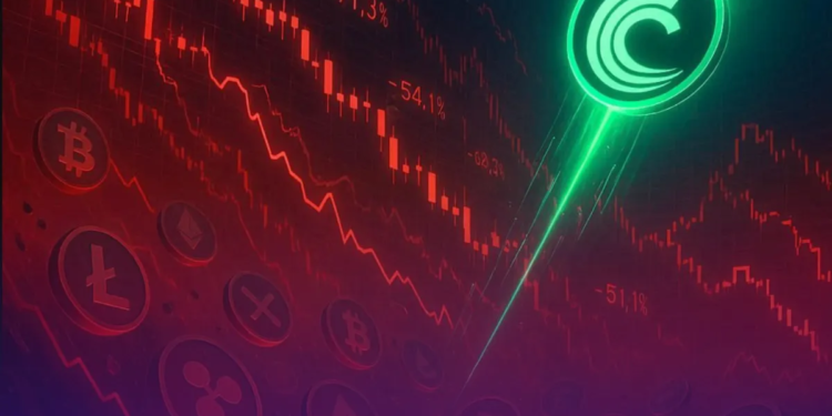 Caída generalizada en las criptomonedas: solo Zcash (ZEC) desafía la tormenta con un alza superior al 35%