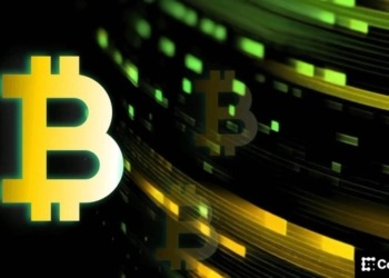 Explorando nuevas oportunidades: ¿cómo maximizar el rendimiento de Bitcoin?