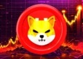 Shiba Inu puede estar cerca de su suelo: clave para entender su próximo movimiento a corto plazo