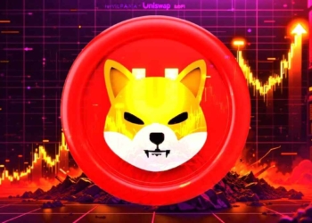 Shiba Inu puede estar cerca de su suelo: clave para entender su próximo movimiento a corto plazo