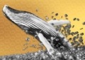 Una ballena invierte $32 millones en Ethereum tras las adquisiciones de SharpLink y Bitmine
