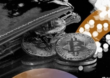 Rumble sorprende al integrar propinas en Bitcoin y Tether para sus 51 millones de usuarios activos 5 Rumble sorprende al integrar propinas en Bitcoin y Tether para sus 51 millones de usuarios activos