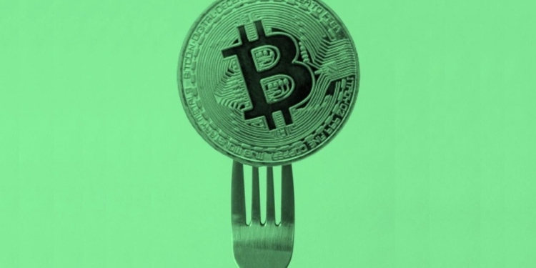 Bitcoin Cash se dispara un 10%: ¿Rally inesperado por volumen histórico o sujeta a una trampa?