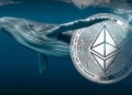 Ethereum se fortalece mientras las grandes entidades apuestan por su futuro 10 Ethereum se fortalece mientras las grandes entidades apuestan por su futuro