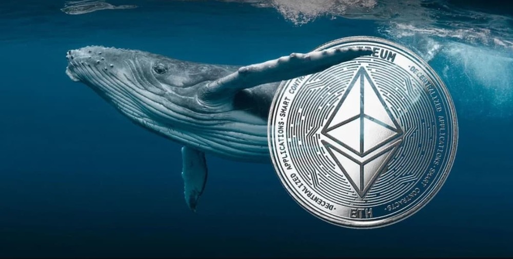 Ethereum se fortalece mientras las grandes entidades apuestan por su futuro 1 Ethereum se fortalece mientras las grandes entidades apuestan por su futuro