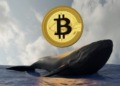 La ballena cripto aumenta su apuesta en Bitcoin y Ethereum: ¿qué implicaciones tiene para el mercado? 10 La ballena cripto aumenta su apuesta en Bitcoin y Ethereum: ¿qué implicaciones tiene para el mercado?