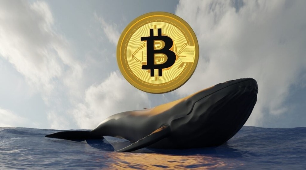 La ballena cripto aumenta su apuesta en Bitcoin y Ethereum: ¿qué implicaciones tiene para el mercado? 1 La ballena cripto aumenta su apuesta en Bitcoin y Ethereum: ¿qué implicaciones tiene para el mercado?