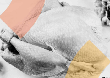 Impactante hallazgo: incautan maquinaria minera de $700,000 y un insólito cargamento de pavos congelados 4 Impactante hallazgo: incautan maquinaria minera de $700,000 y un insólito cargamento de pavos congelados