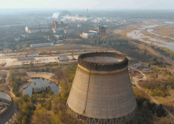 Los Perros Azules de Chernóbil: Un Hallazgo Sorprendente para la Ciencia 4 Los Perros Azules de Chernóbil: Un Hallazgo Sorprendente para la Ciencia
