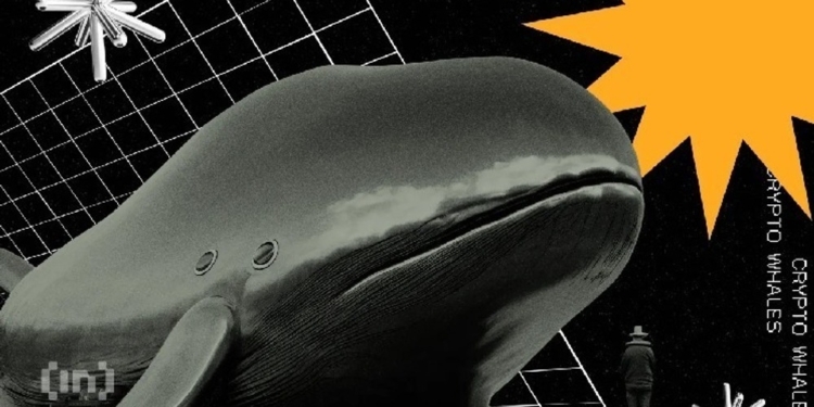 La ballena de la ICO de Ethereum regresa y sorprende con beneficios deslumbrantes