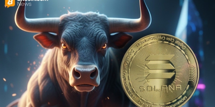 Bitwise desata su entusiasmo por Solana, vislumbrando un futuro brillante comparable al de Bitcoin y un creciente interés institucional.