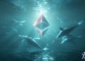 Se avecina una sorprendente ola de acumulación de ballenas Ethereum 8 Se avecina una sorprendente ola de acumulación de ballenas Ethereum